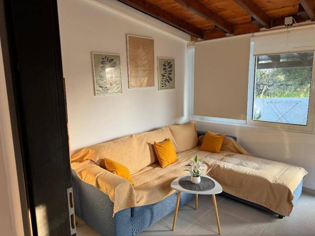 Olive Tree House,Agios Gordios Daire Agios Gordios  Dış mekan fotoğraf